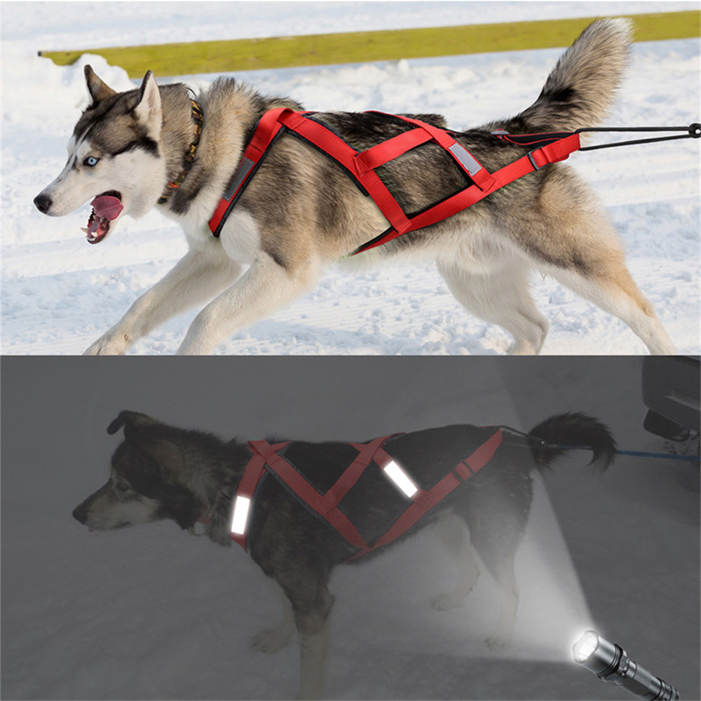 High Quality Big Dog Sledge Ha - đánh giá và giá Reflective Jacket Running